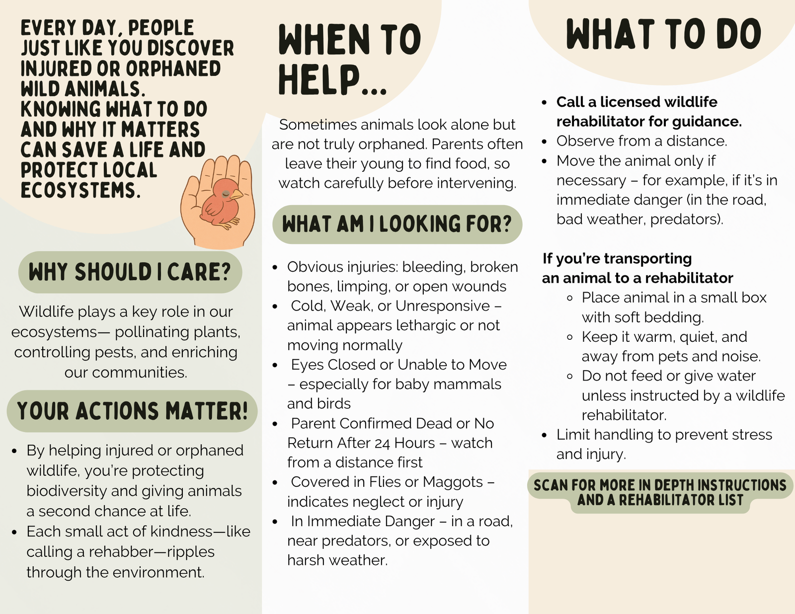Informational Pamphlet